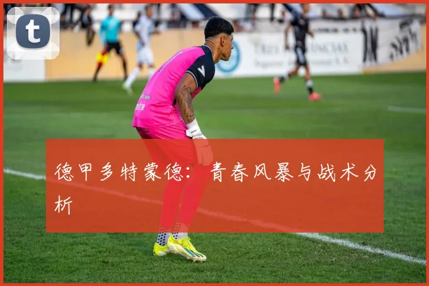 德甲多特蒙德:青春风暴与战术分析