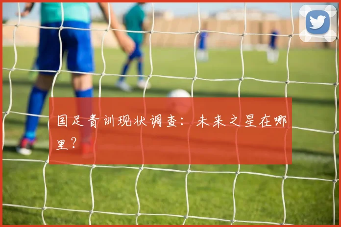 国足青训现状调查：未来之星在哪里？